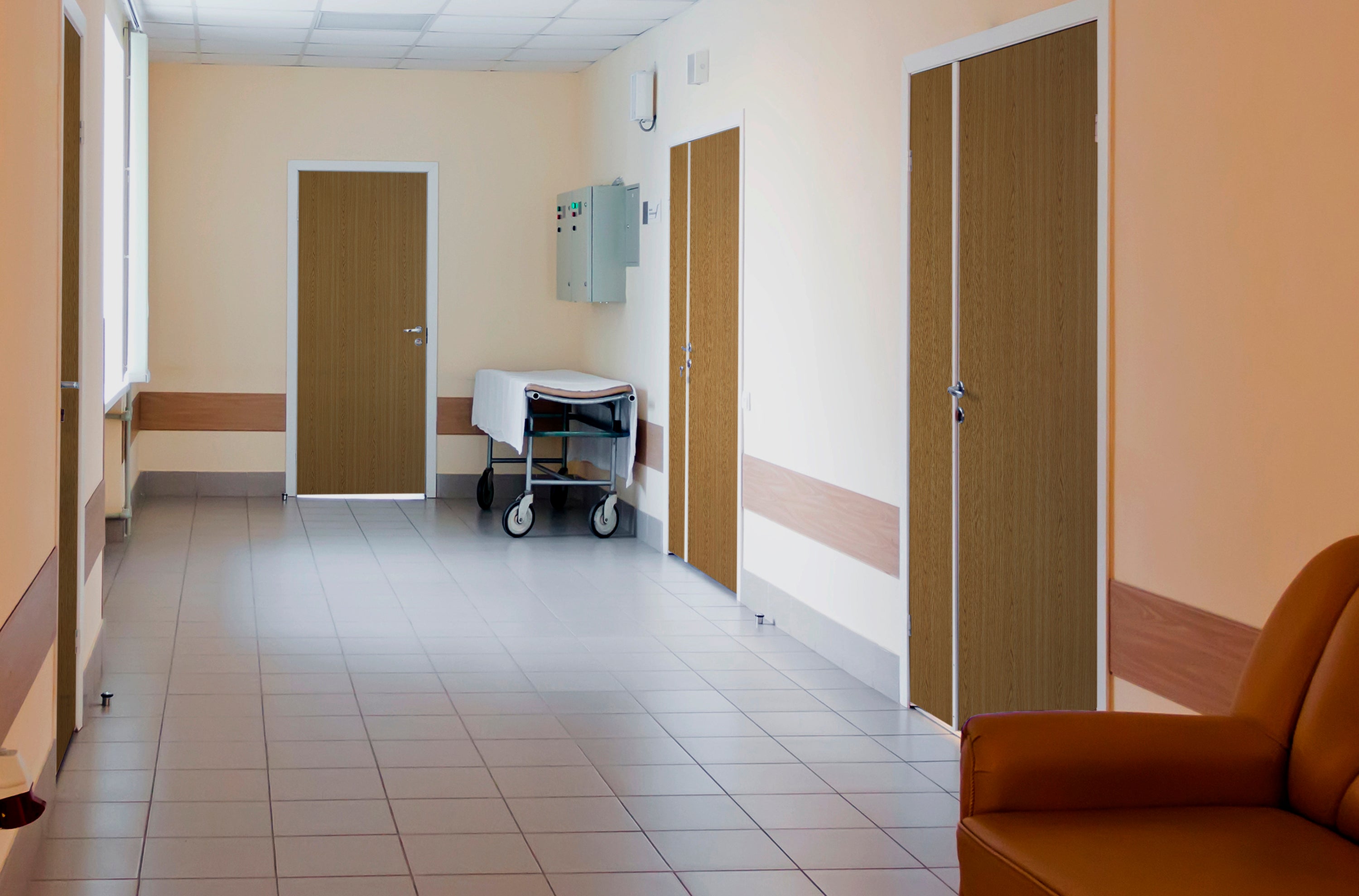 Door skins nursing home