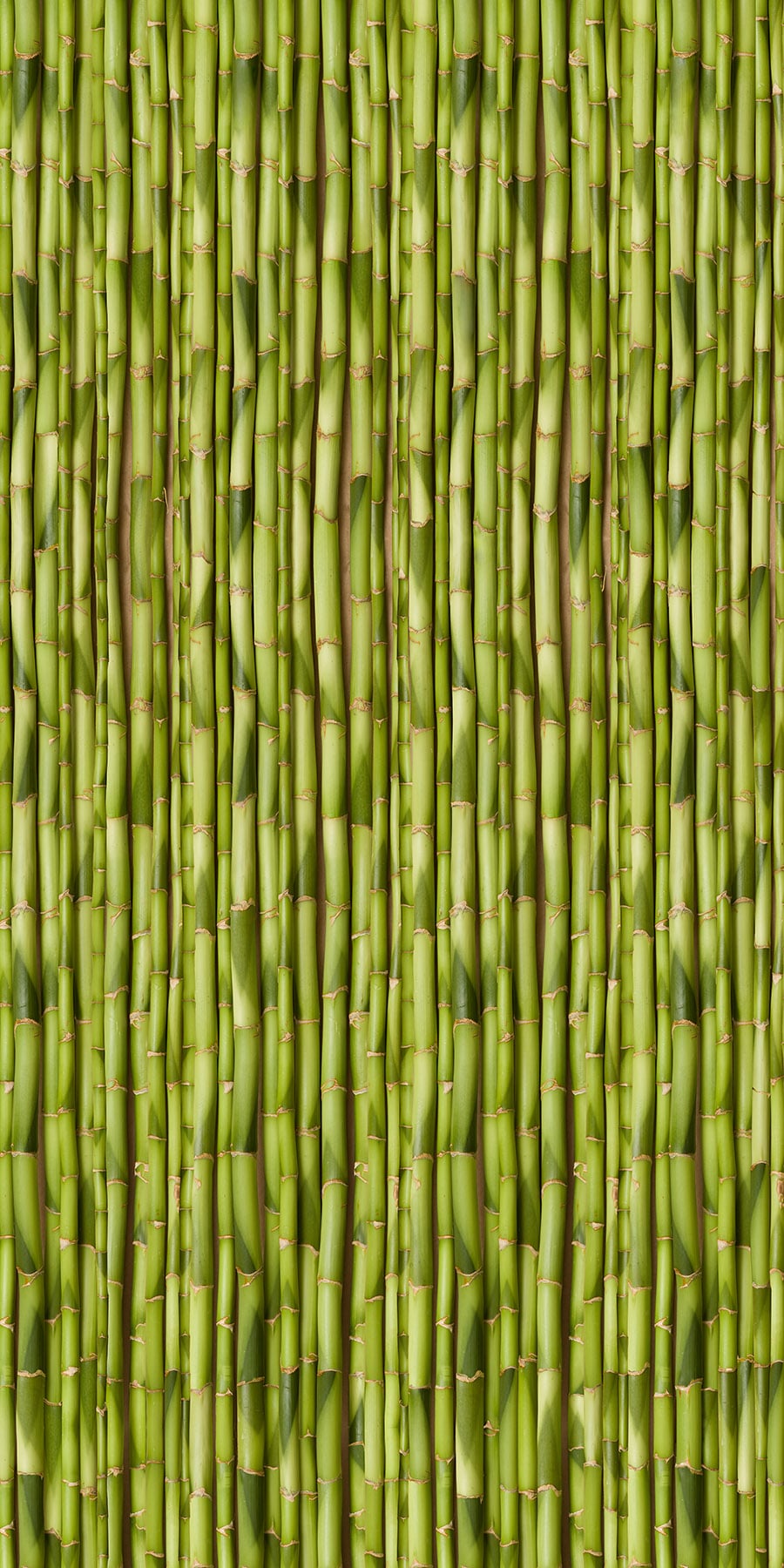 Bamboo Green Vertical Organics Fusion Panels