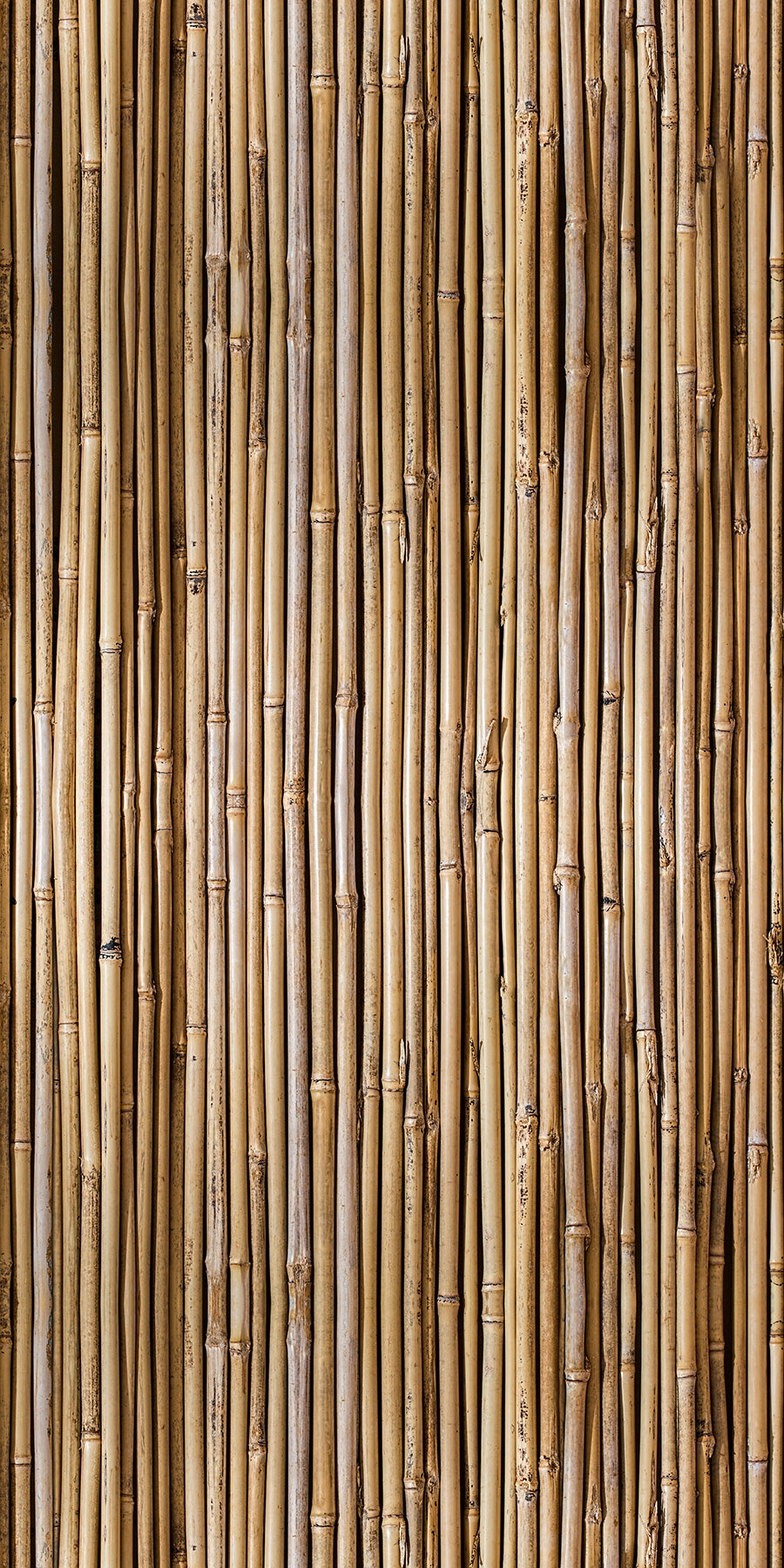 Bamboo Wall Organics Fusion Panels