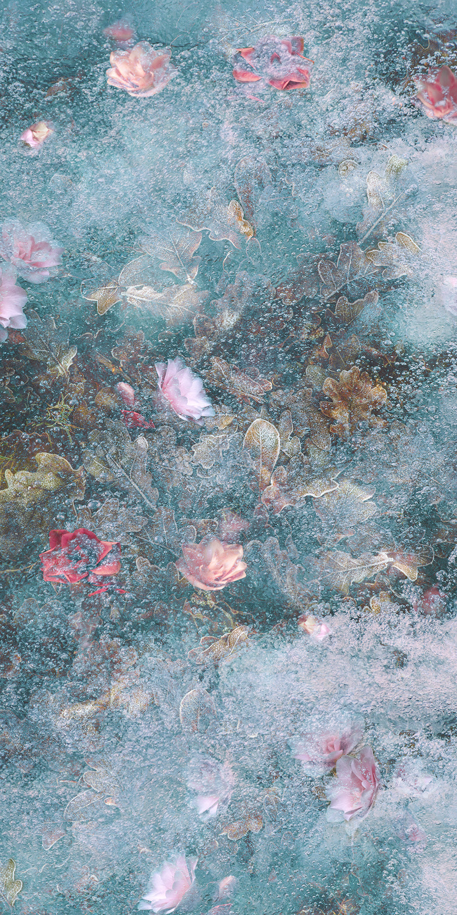 Beneath the Ice Photographic & Illustrated Fusion Panels