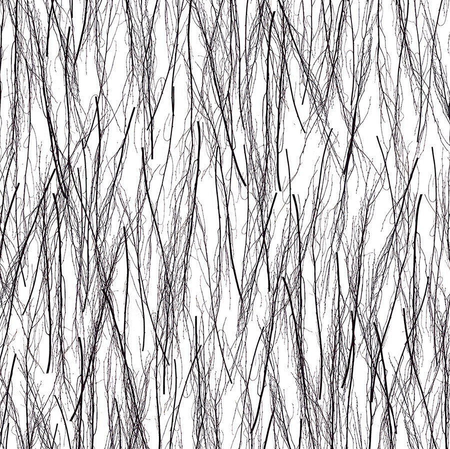 Birch Lux Organics Fusion Panels