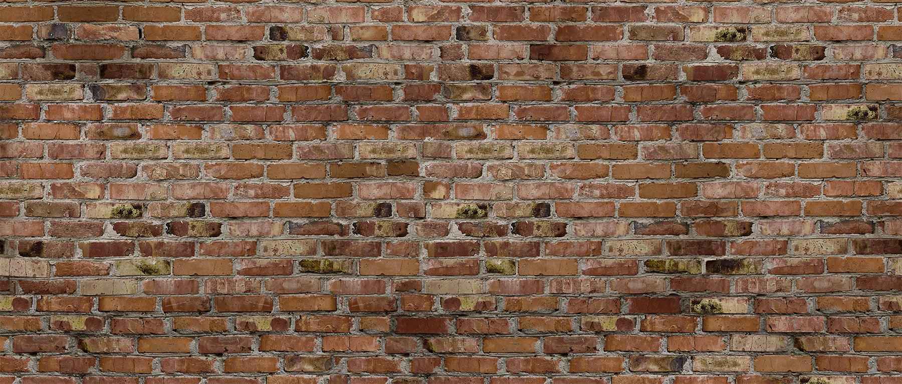 Brick Wall Murals Fusion Panels 