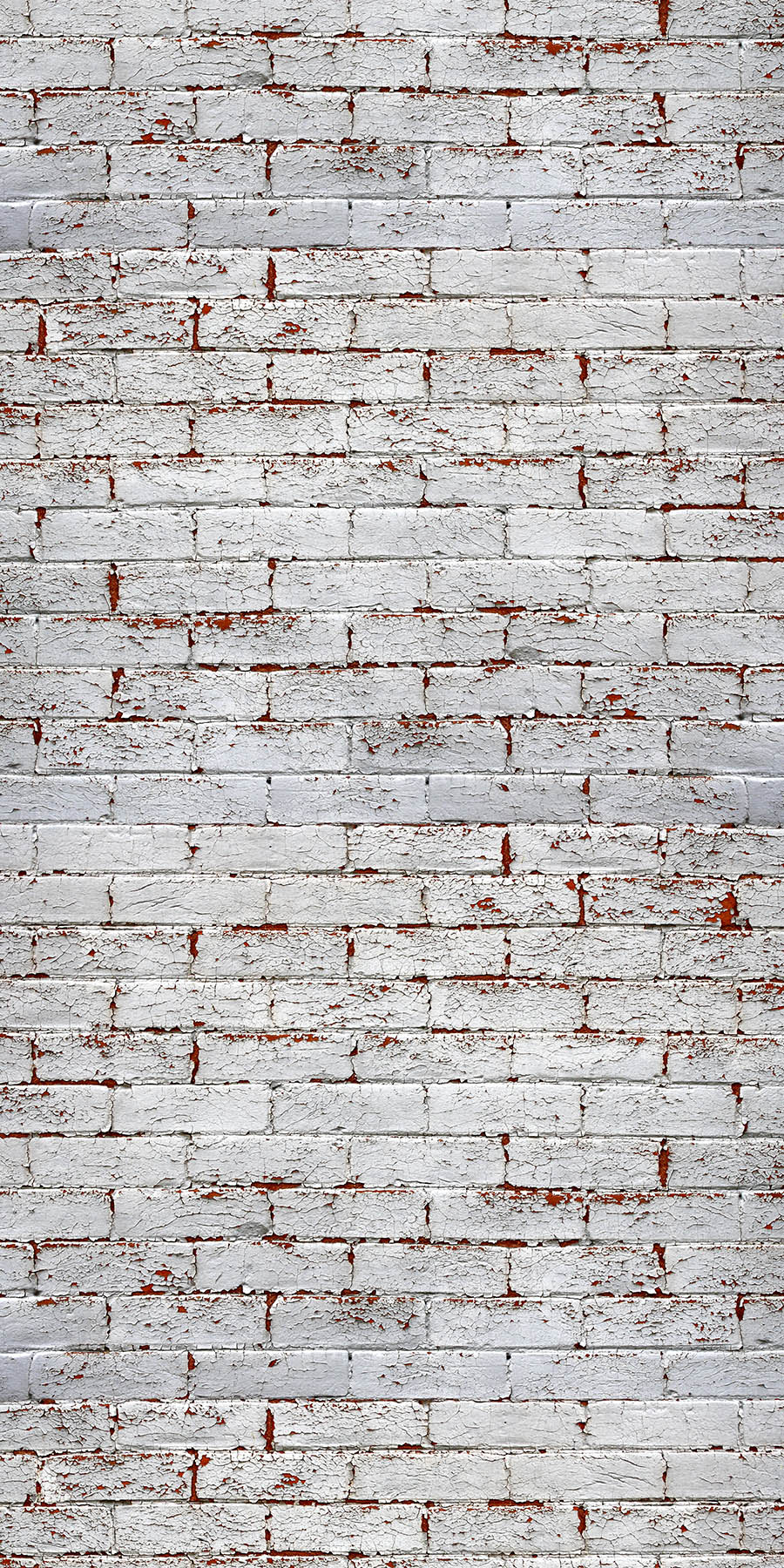 Brick Wall Peeling White Paint Stone & Brick Fusion Panels
