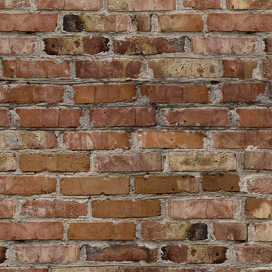 Brick Wall Weathered Stone & Brick Fusion Panels