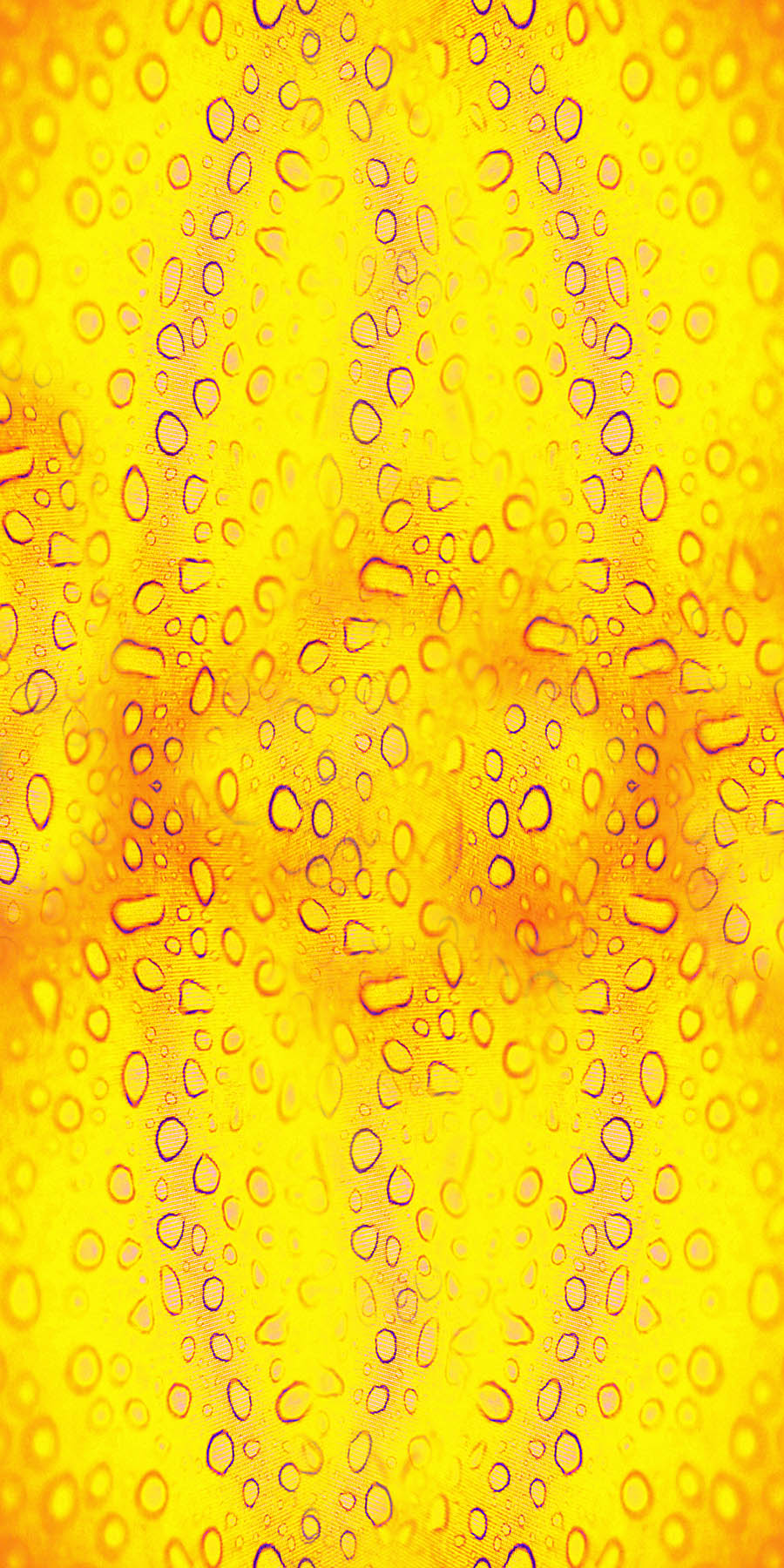 Abstract Fusion Panels (Sample)