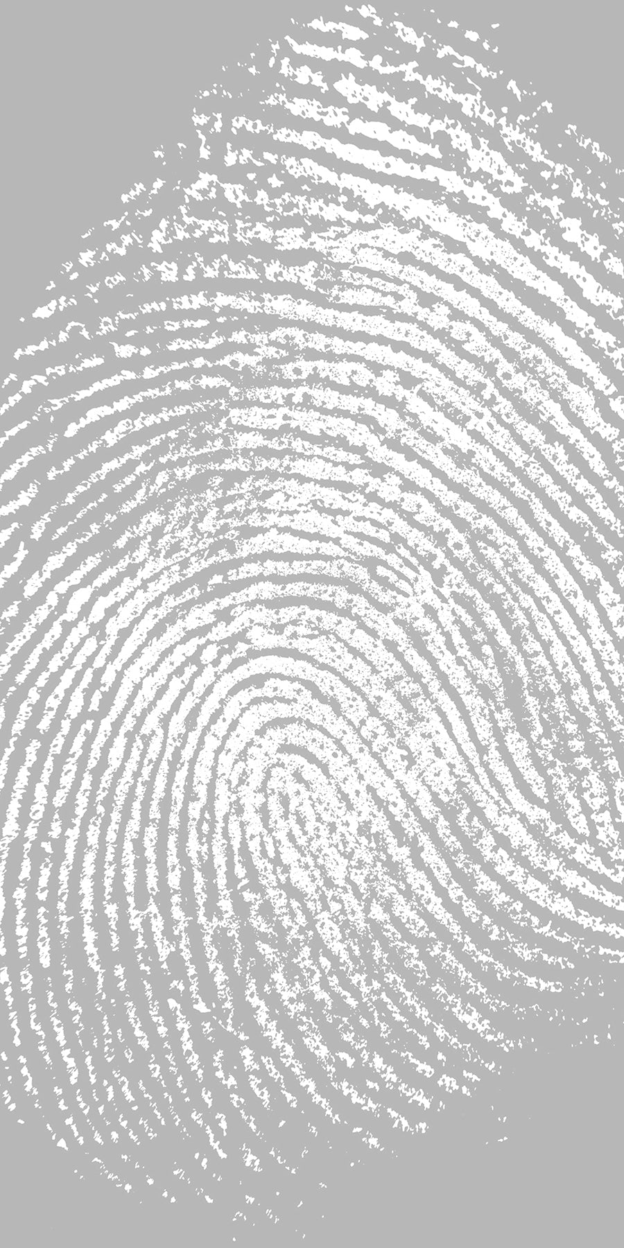 Frosted Fusion Panels (Sample)