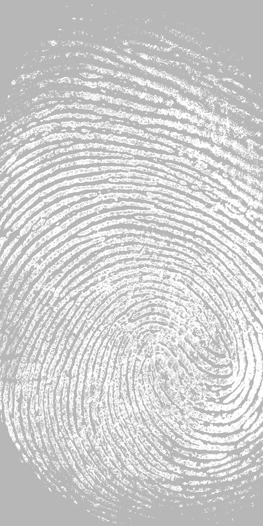 Frosted Fusion Panels (Sample)