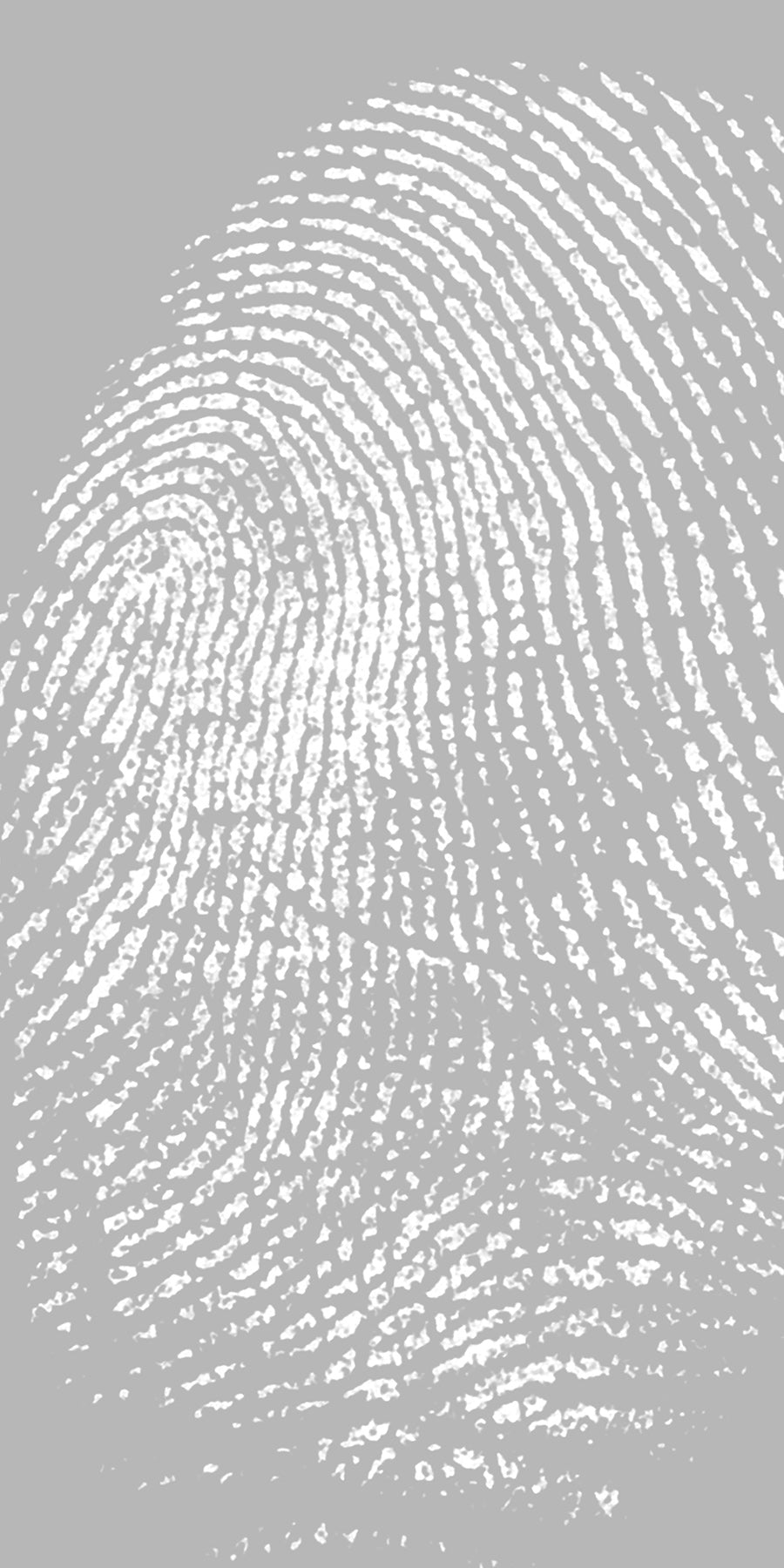 Frosted Fusion Panels (Sample)