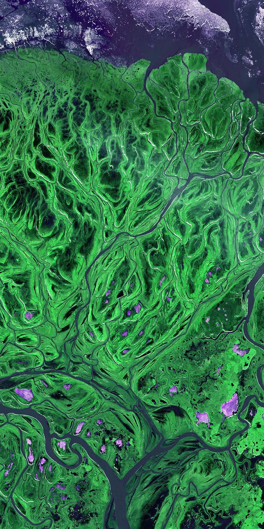 Earth 14 Photographic & Illustrated Fusion Panels