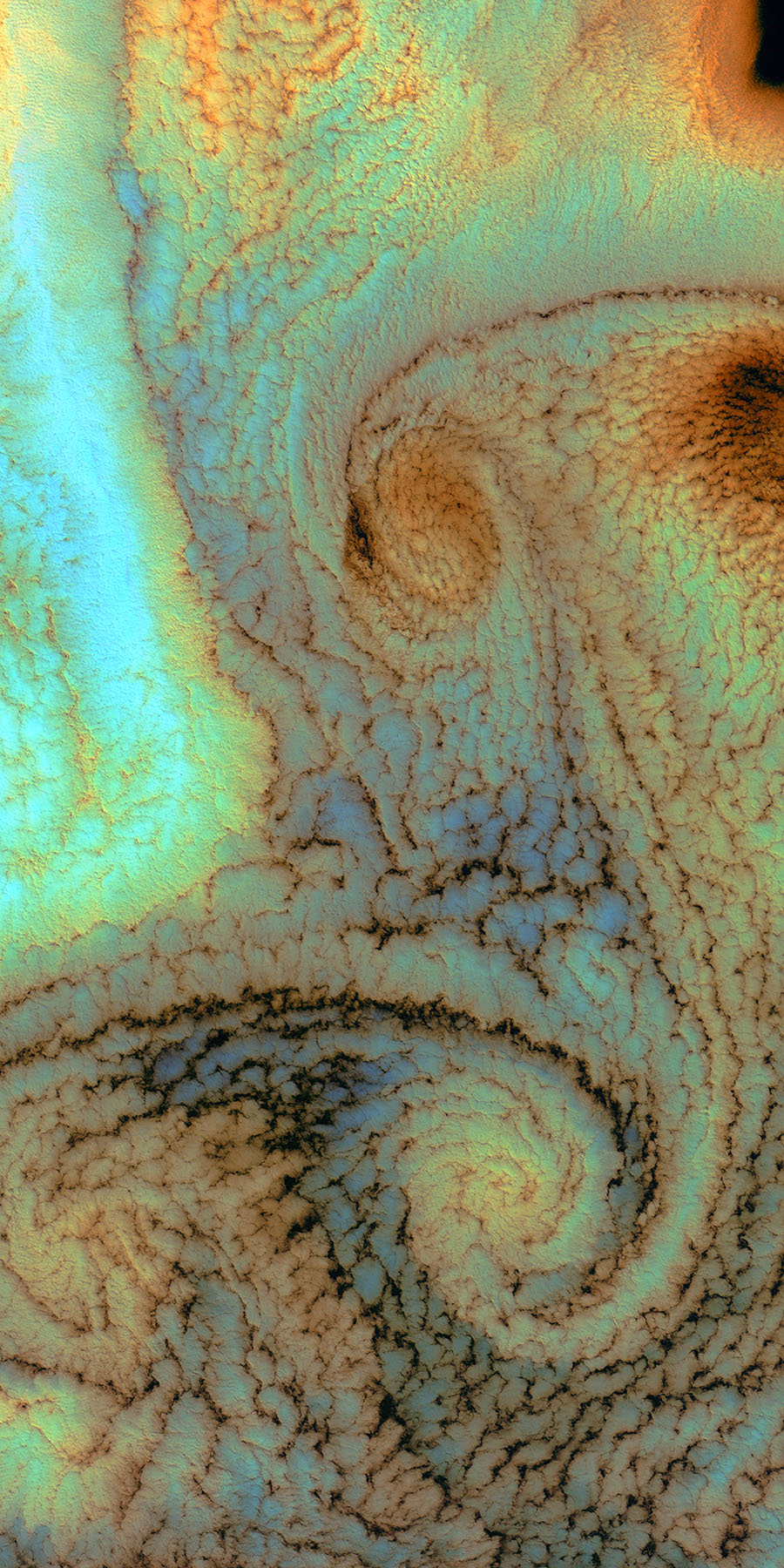 Earth 15 Photographic & Illustrated Fusion Panels