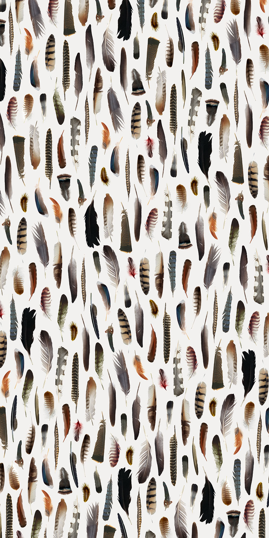 Feather Photographic Organics Fusion Panels