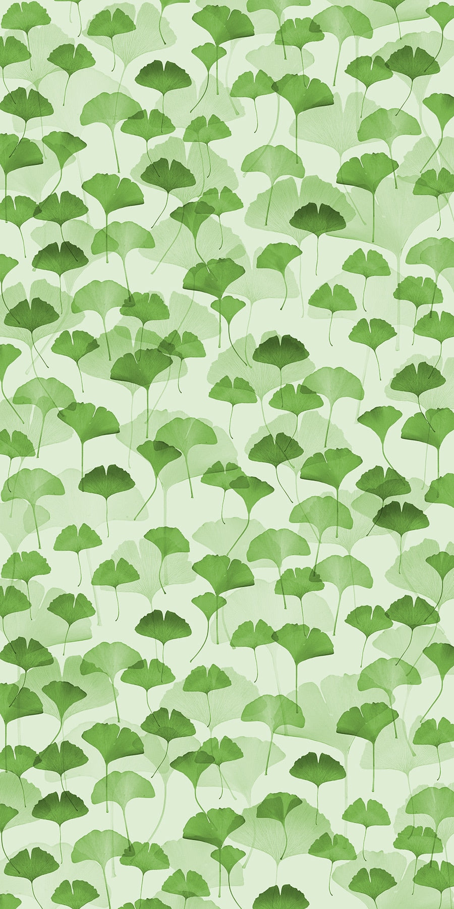 Ginkgo Moss Green Organics Fusion Panels