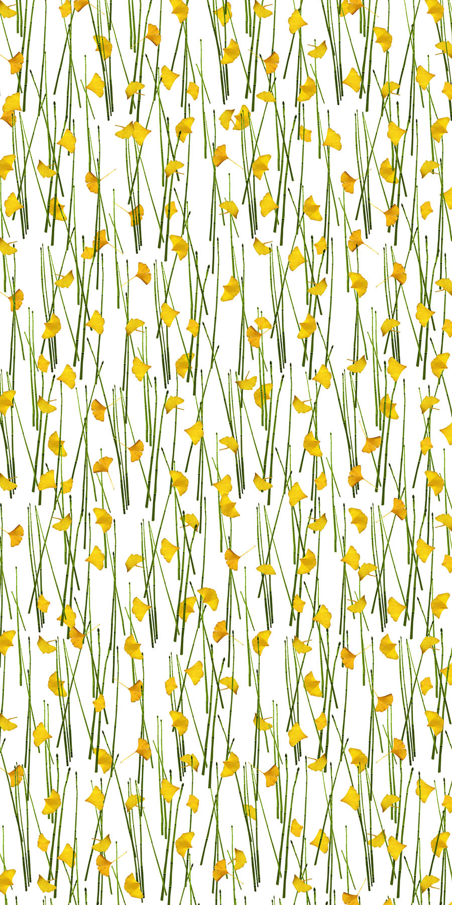 Ginko Reeds Green Yellow Organics Fusion Panels