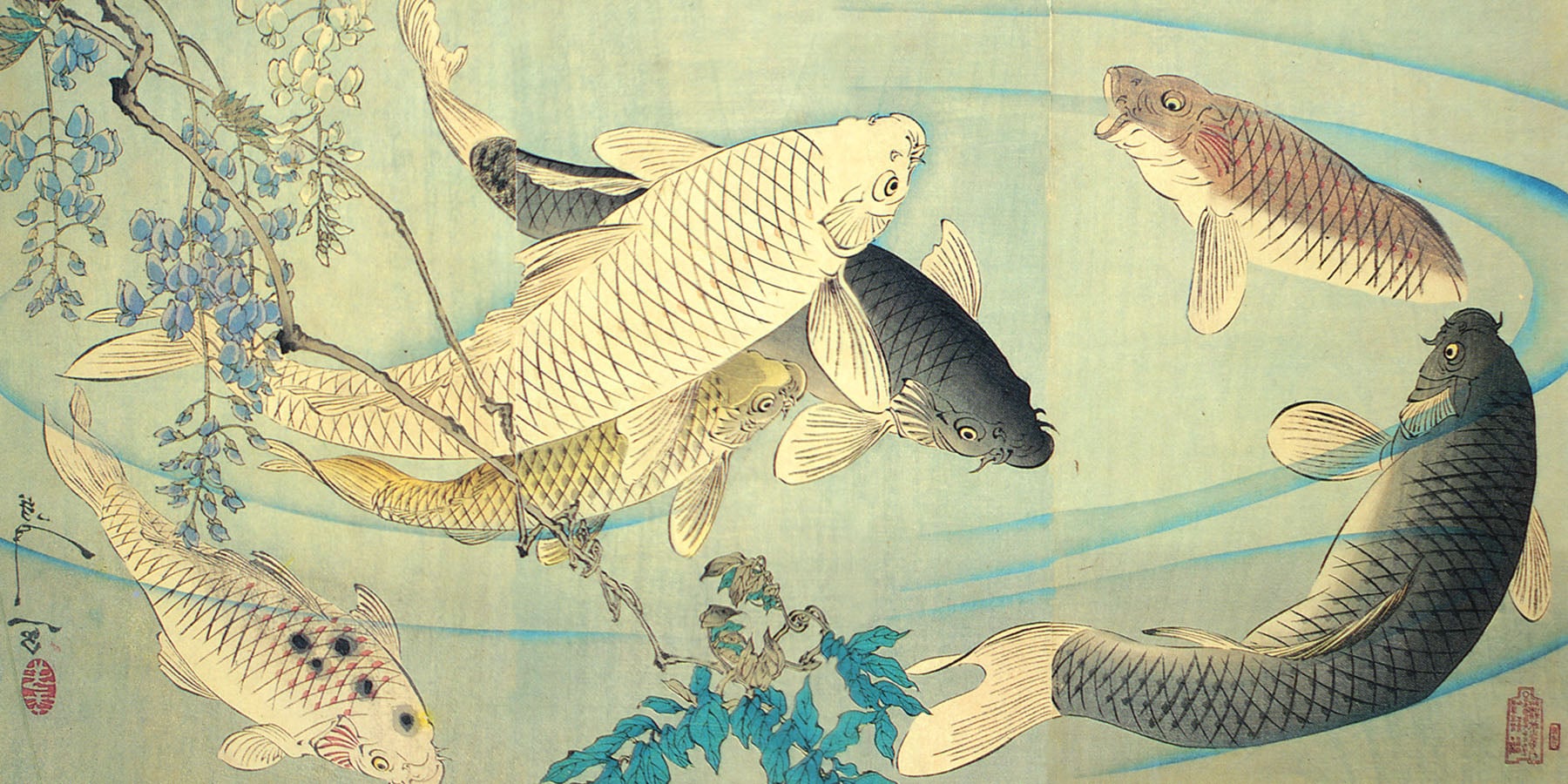 Japanese Koi Photographic & Illustrated Fusion Panels