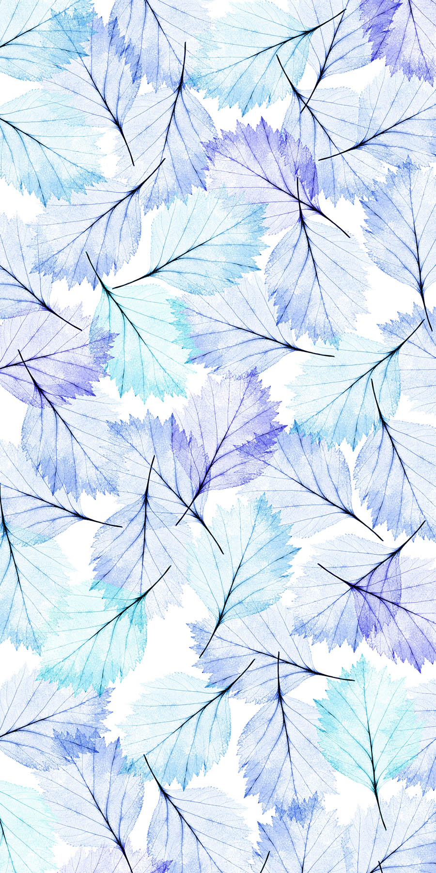 Leaves Modern Blue Organics Fusion Panels