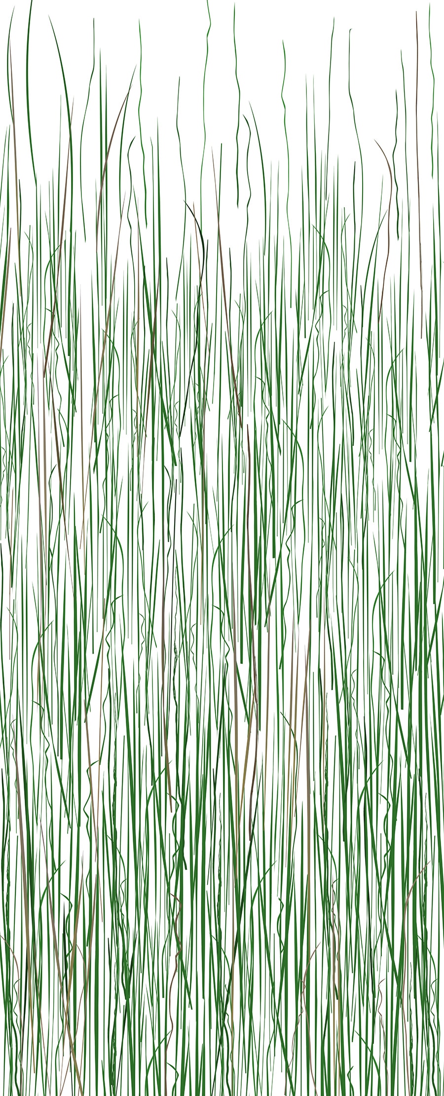 Mountain Grass Spring Organics Fusion Panels