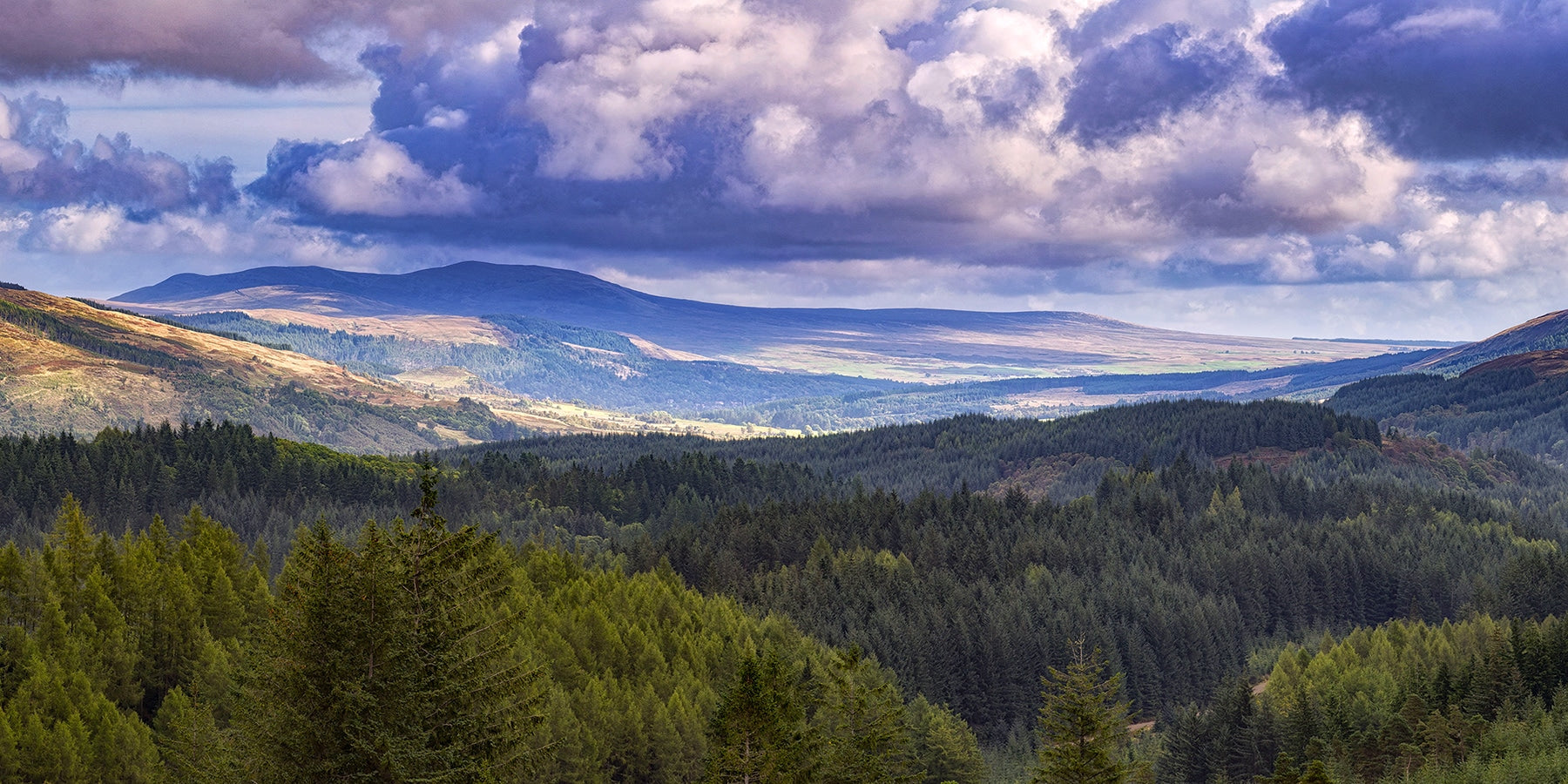 Mountains Murals Fusion Panels 