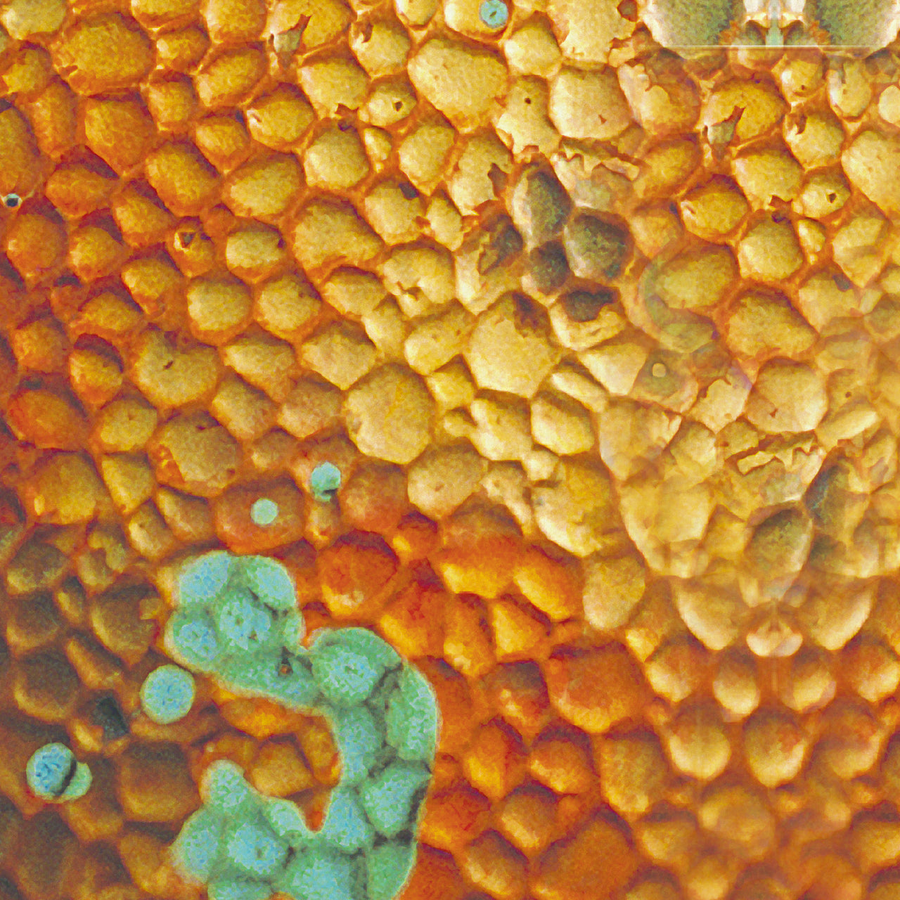 Patina Esmerelda Wall Panel CLEARANCE