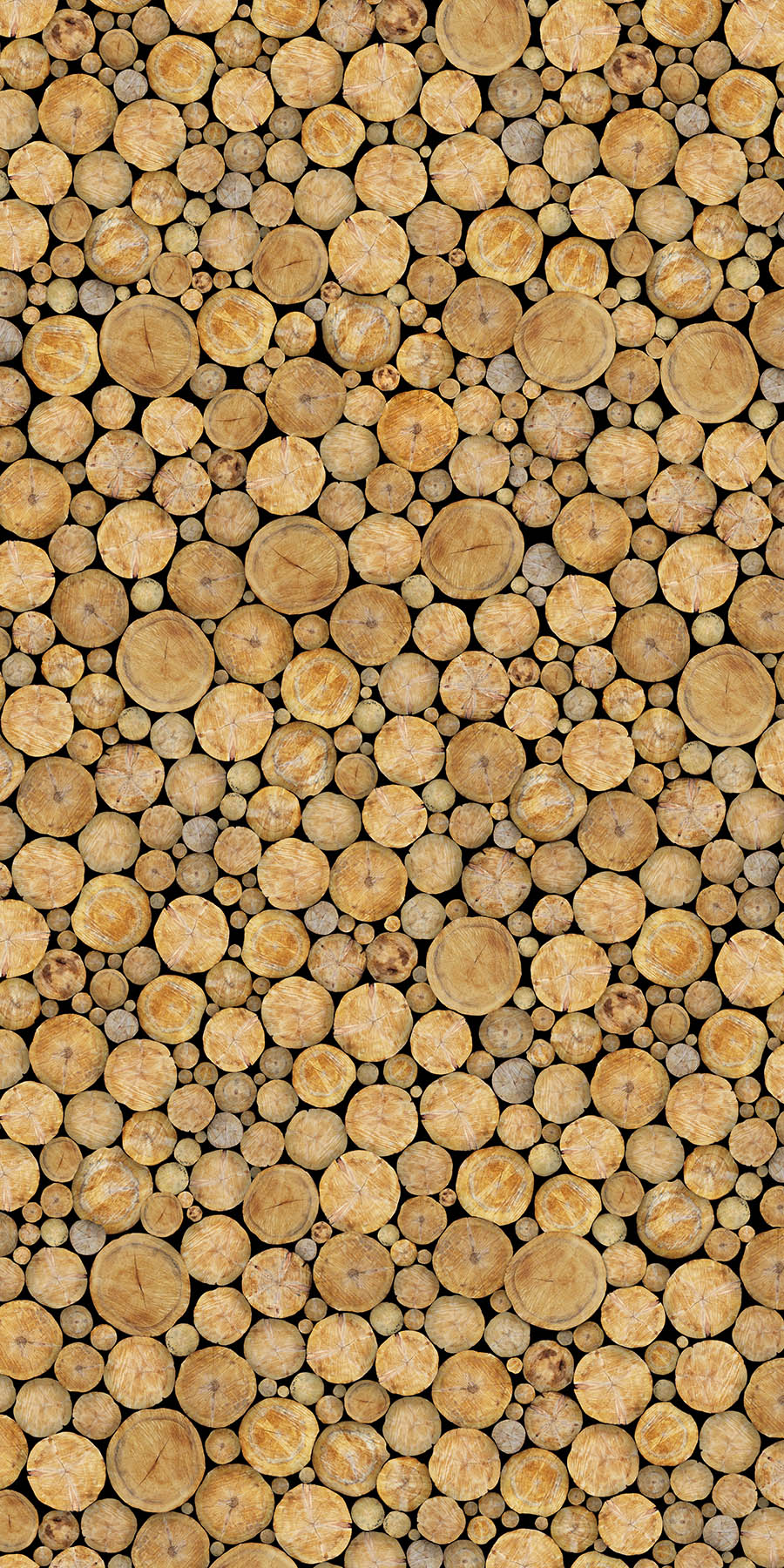 Pine Yard Photographic & Illustrated Fusion Panels