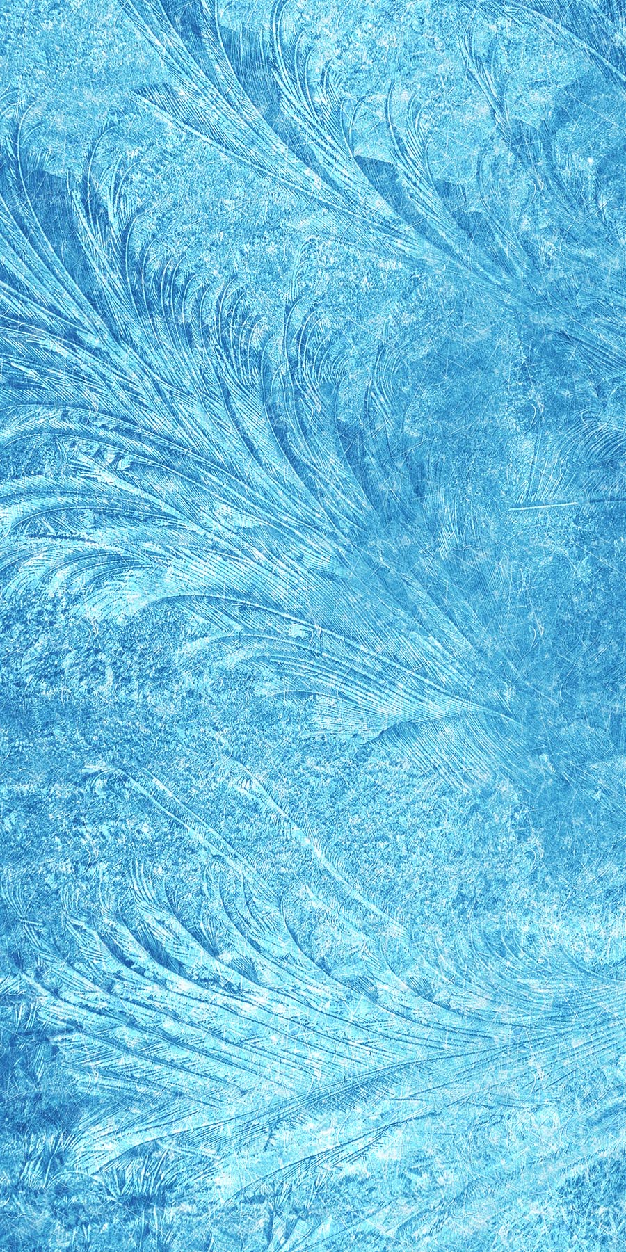 Shiver Photographic & Illustrated Fusion Panels