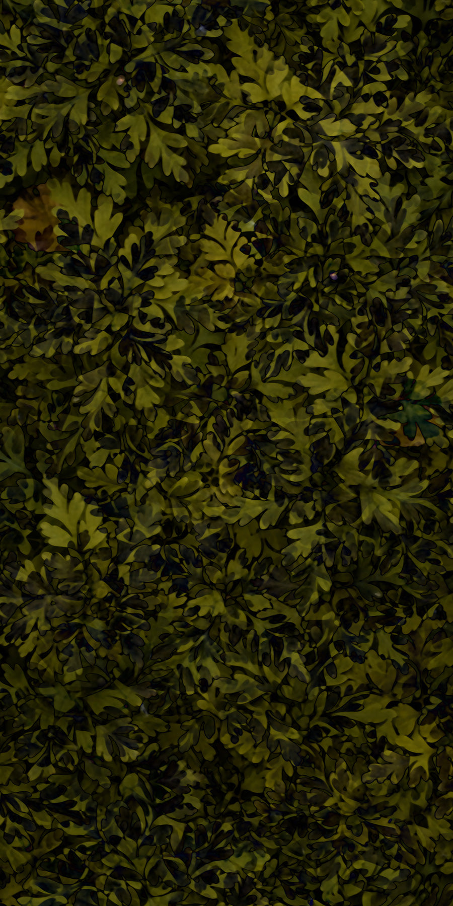 Summer Thicket Organics Fusion Panels